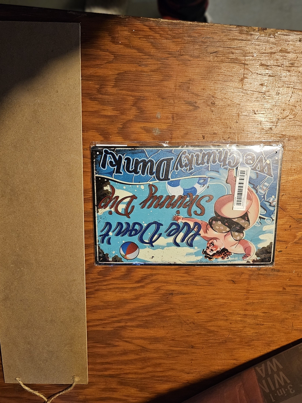 Vintage Pin-Up Beach Metal Sign - Blue & Pink